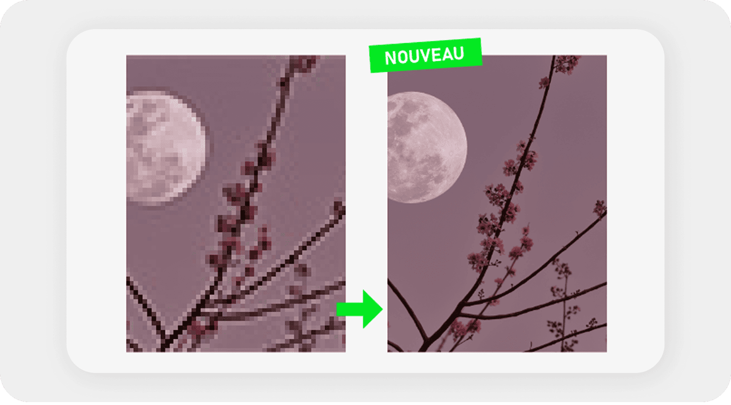 Amélioration des images IA Je Décore